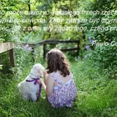 Magiczne cytaty o tym jak każdy ma coś z dziecka: Znajdź swoje marzenia