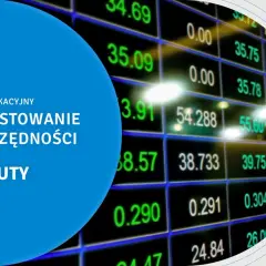 Czy warto inwestować na Forex: prawda o zarobkach i ryzyku na rynku walut