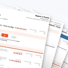  Jak pobrać raport BIG zupełnie za darmo? Zdradzamy sekret, który pozwoli Ci zaoszczędzić setki złotych!