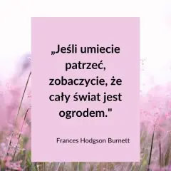 Najpiękniejsze krótkie cytaty o lecie, które inspirują i poruszają serce