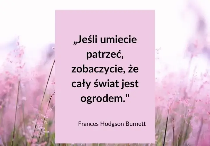 Najpiękniejsze krótkie cytaty o lecie, które inspirują i poruszają serce