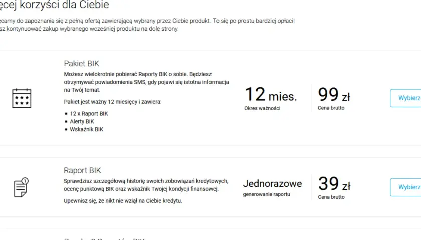 Darmowe raporty BIK za darmo 2025 - sprawdź online swoją historię kredytową
