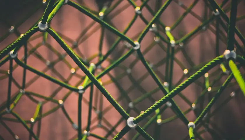 Jak rozwijać startupy blockchainowe: Porady dla przedsiębiorców
