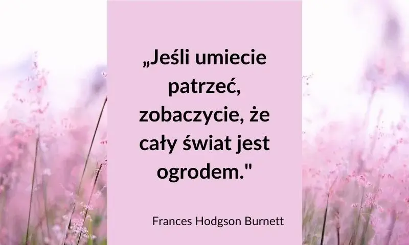 Najpiękniejsze krótkie cytaty o lecie, które inspirują i poruszają serce